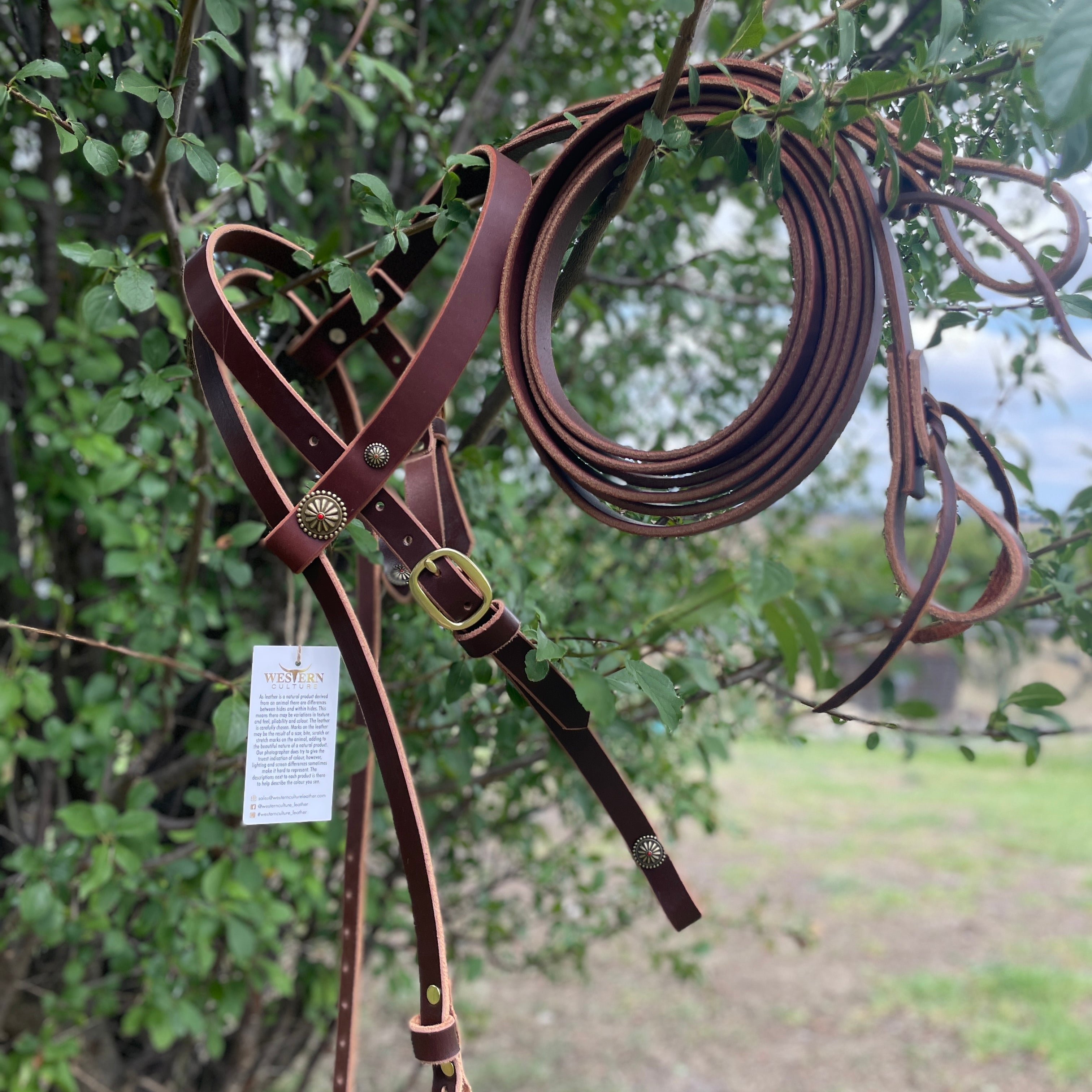 Leather bridles and reins-Western Culture Leather