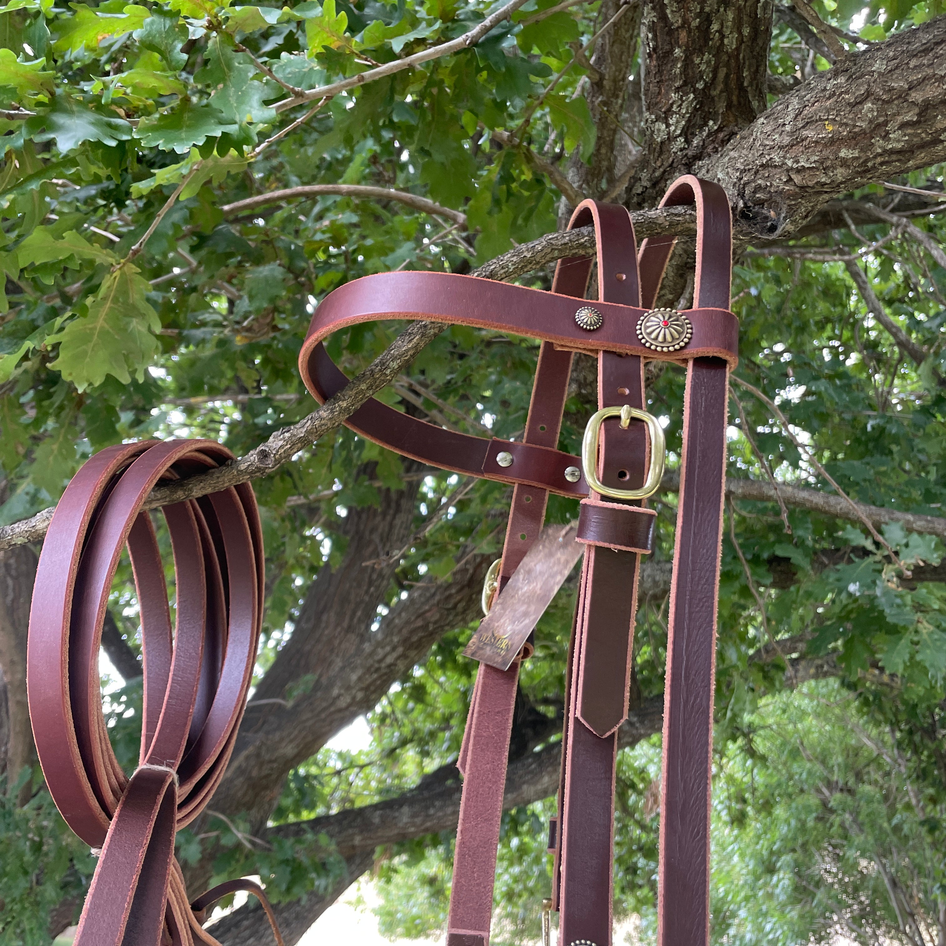 Leather bridles and reins-Western Culture Leather