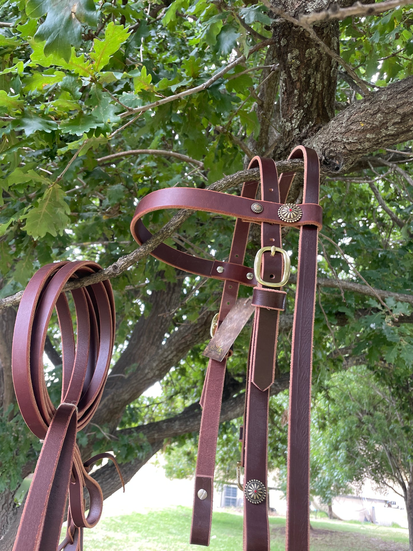 Leather bridles and reins-Western Culture Leather