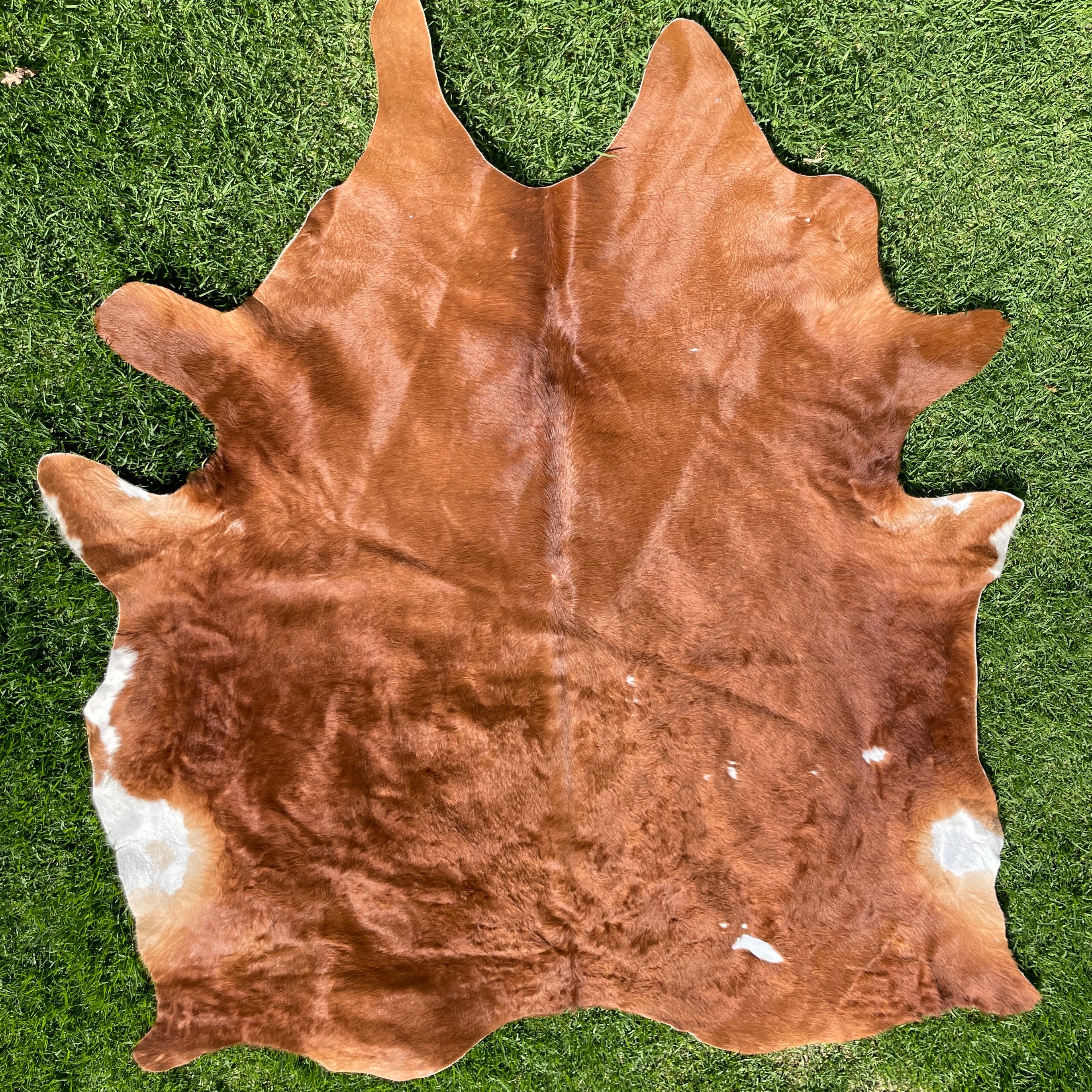 Cow Hide Floor Rug-Western Culture Leather
