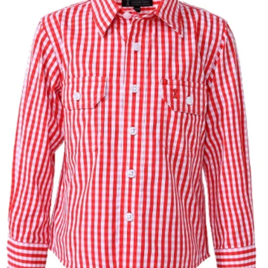 Kids Pilbara Check Shirt-Western Culture Leather