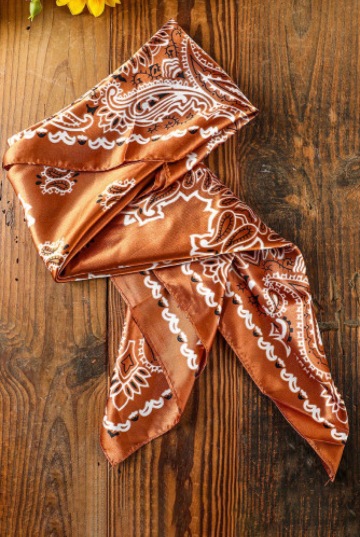 Wild Rag Silk Scarf-Western Culture Leather